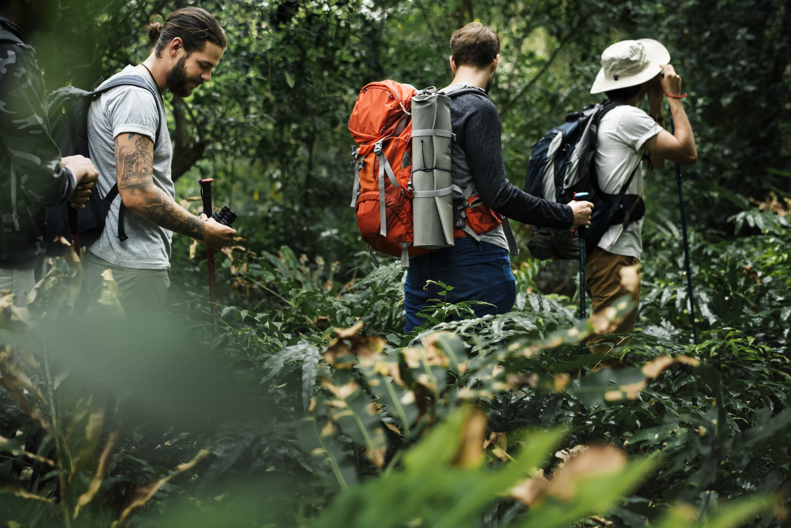 Trekking in a forest